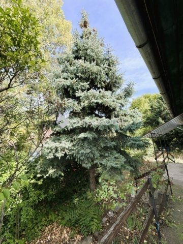 Eladó ikerház, Budapesten, III. kerületben 62 M Ft, 2 szobás