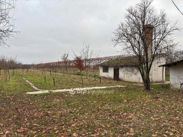 Eladó telek, Gyulán 29.9 M Ft / költözzbe.hu