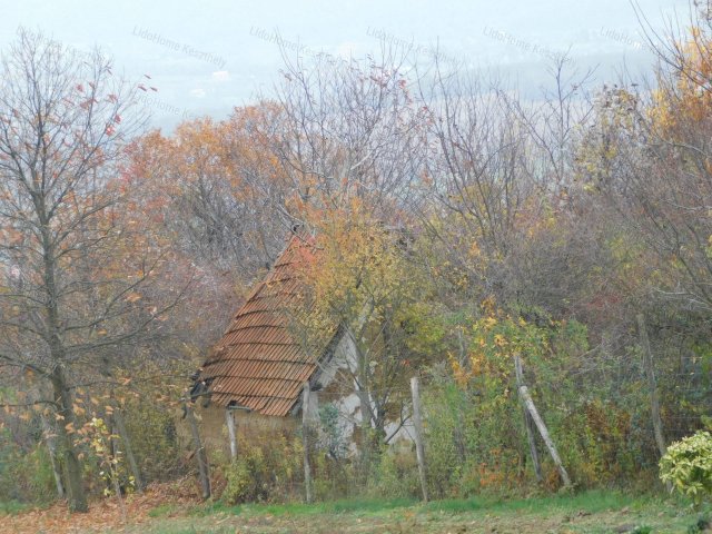 Eladó mezogazdasagi ingatlan, Karmacson 5.8 M Ft