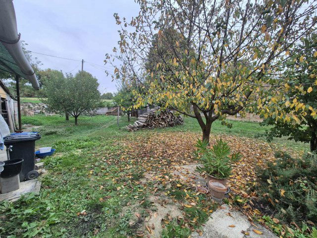 Eladó családi ház, Mozsgón 21 M Ft, 2 szobás