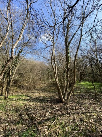 Eladó telek, Zalacsányon 5.5 M Ft / költözzbe.hu
