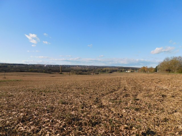 Eladó mezogazdasagi ingatlan, Keszthelyen 2.9 M Ft