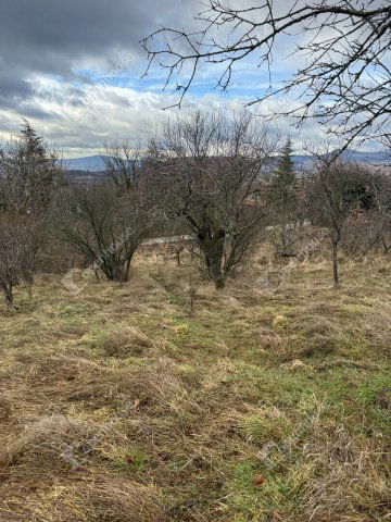 Eladó telek, Szentendrén 64.9 M Ft / költözzbe.hu