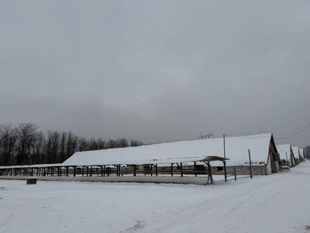 Eladó ipari ingatlan, Geszteréden 280 M Ft / költözzbe.hu