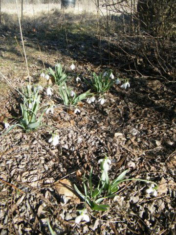 Eladó ipari ingatlan, Ballószögön 18 M Ft / költözzbe.hu