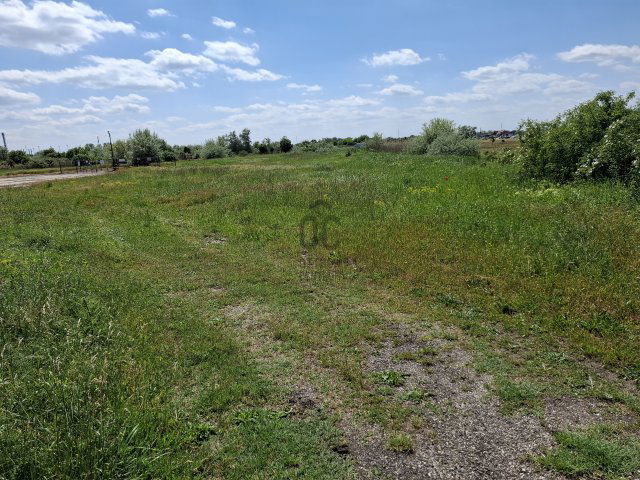 Eladó telek, Algyőn 1010.85 M Ft / költözzbe.hu