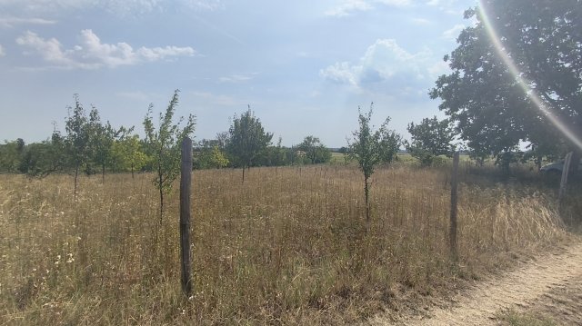 Eladó mezogazdasagi ingatlan, Nagykónyin 4.6 M Ft