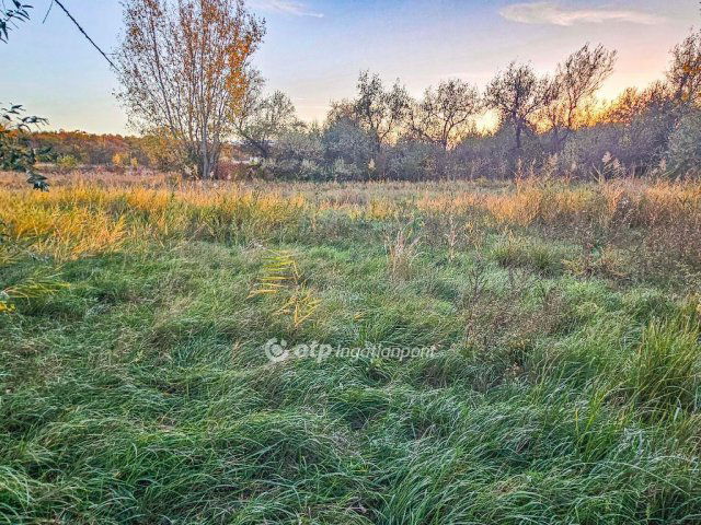 Eladó telek, Gárdonyban 139 M Ft / költözzbe.hu
