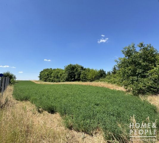 Eladó mezogazdasagi ingatlan, Szegeden 9.99 M Ft