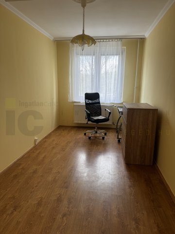 Kiadó panellakás, albérlet, Szegeden, Rókusi körúton