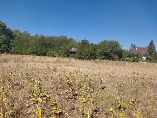 Eladó telek, Tápiószentmártonon 3.5 M Ft / költözzbe.hu