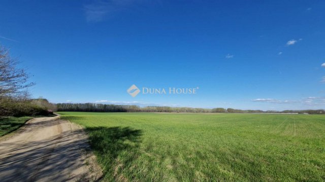 Eladó mezogazdasagi ingatlan, Sülysápon 40.5 M Ft