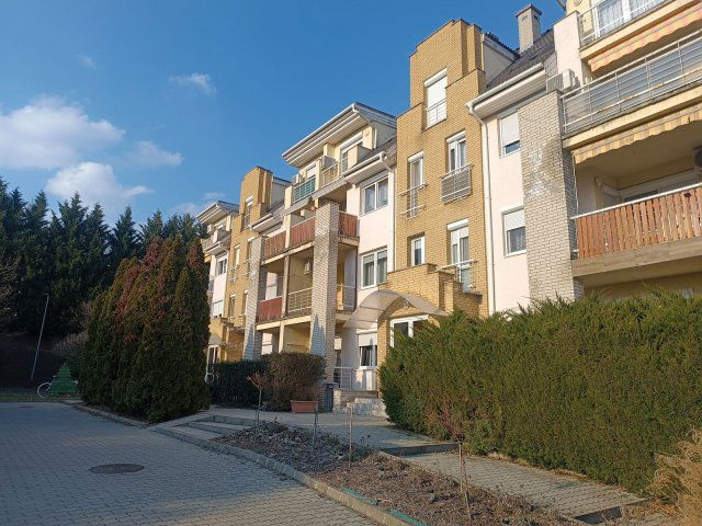 Kiadó téglalakás, albérlet, Ajkán, Tölgyfa utcában