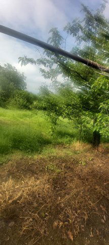 Eladó telek, Pécsett 8.5 M Ft / költözzbe.hu