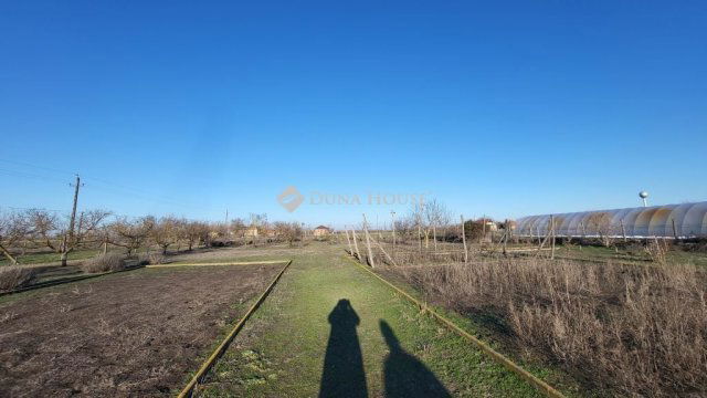 Eladó telek, Bugacpusztaházán 4.9 M Ft / költözzbe.hu