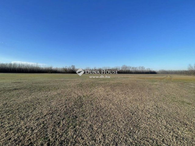 Eladó mezogazdasagi ingatlan, Kiskunmajsán 79 M Ft