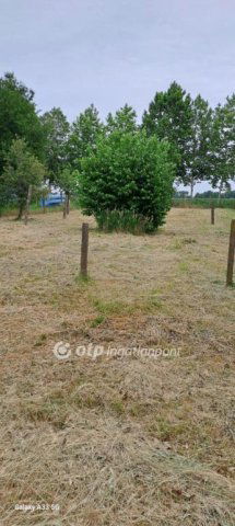 Eladó családi ház, Lippón 21.5 M Ft, 3 szobás