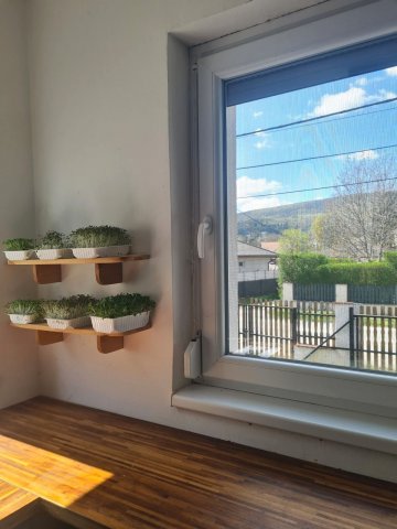 Eladó családi ház, Pócsmegyeren 98 M Ft, 5 szobás