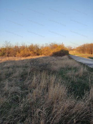 Eladó telek, Tápiószelén 1.5 M Ft / költözzbe.hu