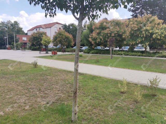 Eladó üzlethelyiség, Almásfüzitőn 59 M Ft, 5 szobás