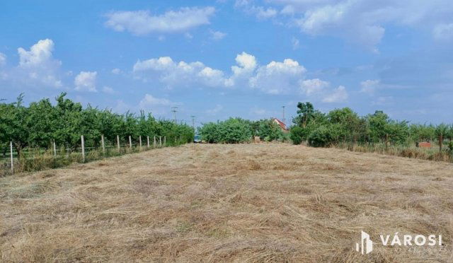 Eladó mezogazdasagi ingatlan, Szarvason 32.99 M Ft, 4 szobás