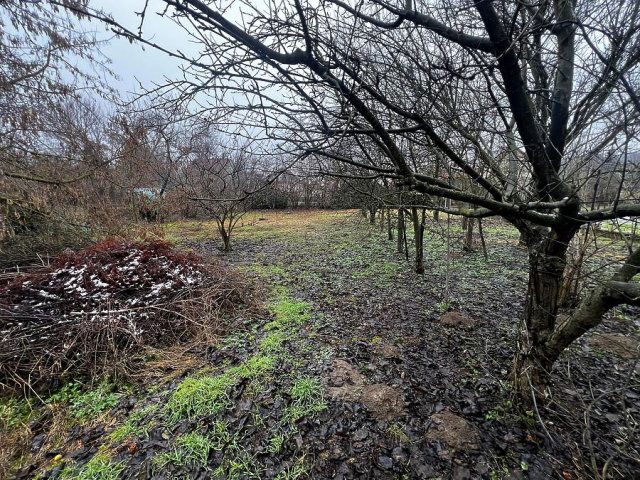 Eladó családi ház, Gödöllőn 73.5 M Ft, 3 szobás