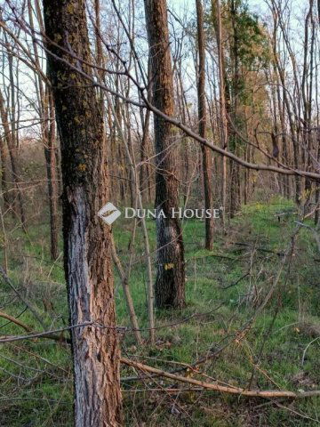 Eladó mezogazdasagi ingatlan, Kerekegyházán 140 M Ft, 1 szobás