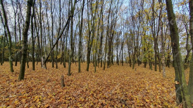 Eladó mezogazdasagi ingatlan, Sajókeresztúron 25.99 M Ft