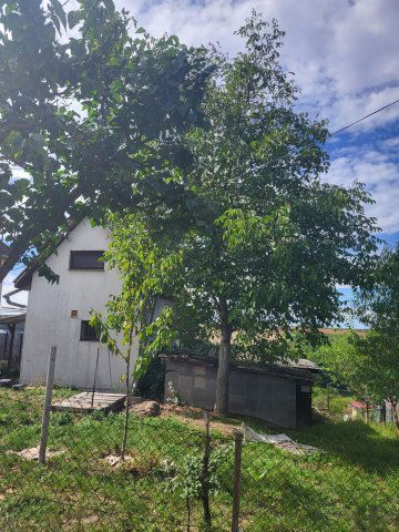 Eladó mezogazdasagi ingatlan, Adonyban 16 M Ft