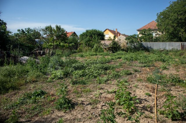 Eladó telek, Szegeden 25 M Ft / költözzbe.hu
