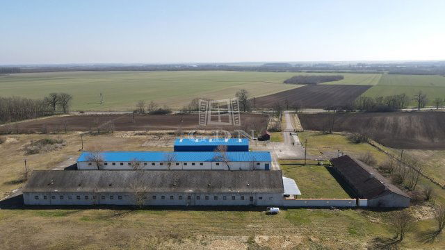 Eladó ipari ingatlan, Sárosdon 150 M Ft / költözzbe.hu