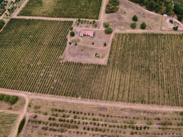Eladó mezogazdasagi ingatlan, Balatonlelleén 59.9 M Ft