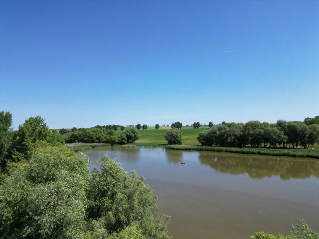 Eladó telek, Csepregen 18.18 M Ft / költözzbe.hu