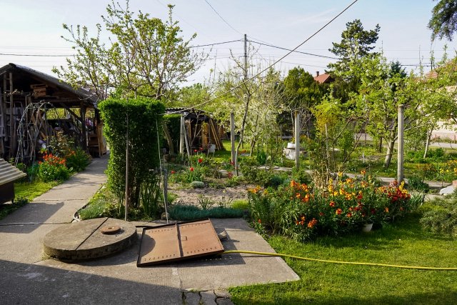 Eladó családi ház, Szigethalmon 78 M Ft, 2 szobás