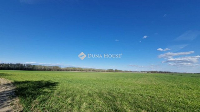 Eladó mezogazdasagi ingatlan, Sülysápon 40.5 M Ft