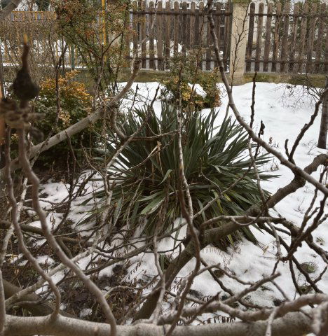 Eladó ikerház, Budapesten, III. kerületben 145 M Ft, 4+2 szobás