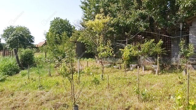 Eladó családi ház, Kocsolán 36.9 M Ft, 3 szobás