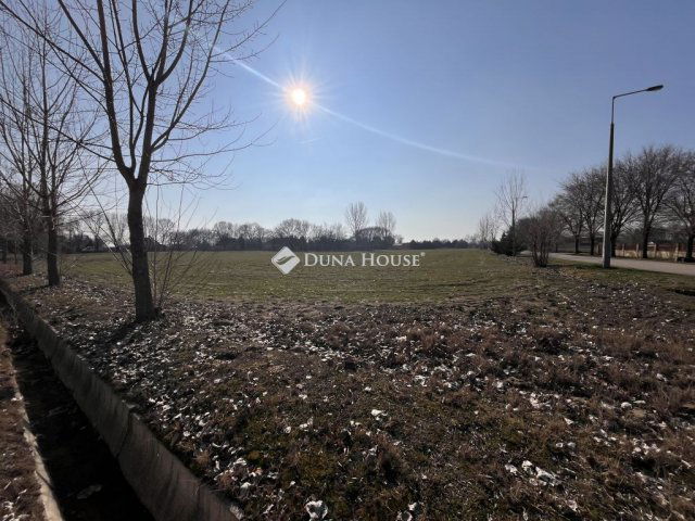 Eladó telek, Cserkeszőlőn 79.5 M Ft / költözzbe.hu