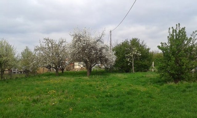 Eladó telek, Pápán 7.5 M Ft / költözzbe.hu