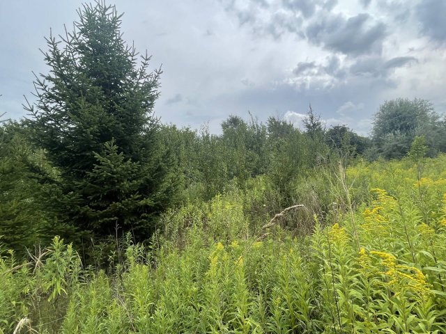 Eladó mezogazdasagi ingatlan, Szomódon 28 M Ft