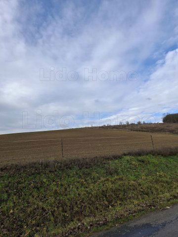 Eladó mezogazdasagi ingatlan, Kaposgyarmaton 5.9 M Ft