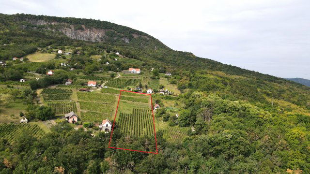 Eladó telek, Badacsonytomajon 60 M Ft / költözzbe.hu