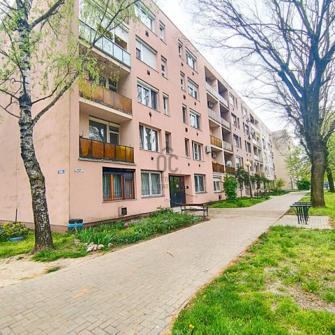 Kiadó téglalakás, albérlet, Nagykőrösön 130 E Ft / hó