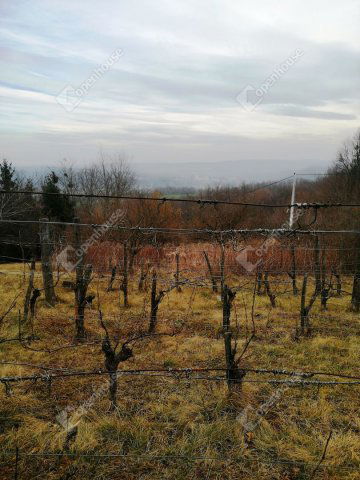 Eladó telek, Nagykapornakon 1.95 M Ft / költözzbe.hu