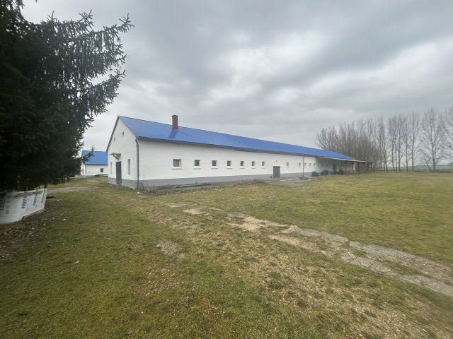 Eladó telek, Gyarmaton 200 M Ft / költözzbe.hu