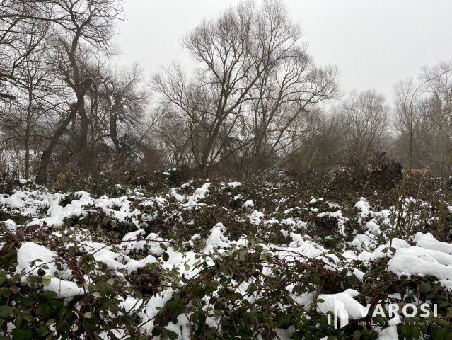 Eladó telek, Budakalászon 6 M Ft / költözzbe.hu