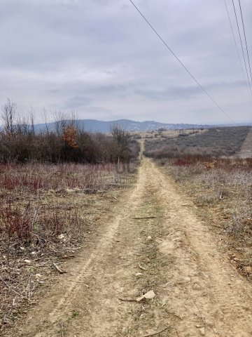Eladó mezogazdasagi ingatlan, Pomázon 0.65 M Ft