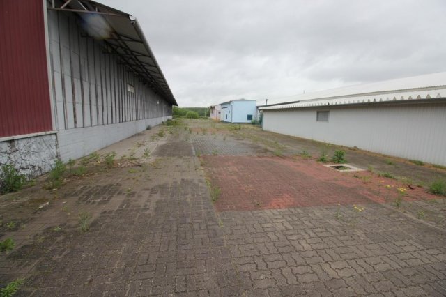 Eladó ipari ingatlan, Dánszentmiklóson 290 M Ft