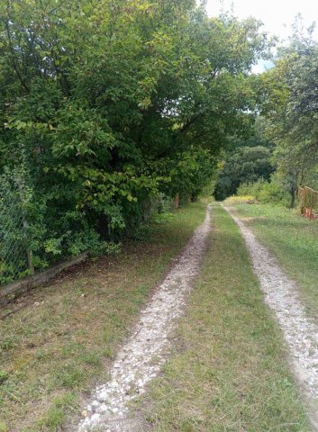 Eladó mezogazdasagi ingatlan, Miskolcon 4 M Ft