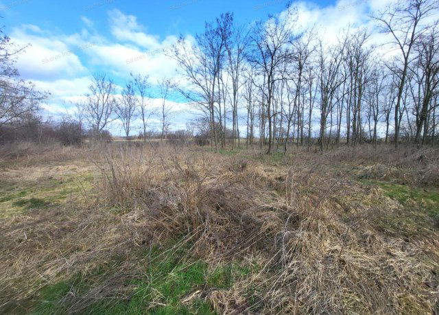 Eladó családi ház, Ácson 12 M Ft, 2 szobás